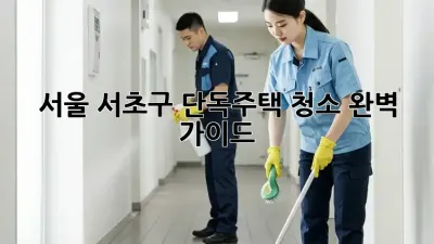 서울 서초구 단독주택 청소 완벽 가이드