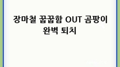 만년리🏡 계절별 청소 비법 대방출!✨ 묵은 때 벗고 힐링해요!