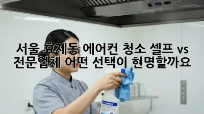 서울 효제동 에어컨 청소, 셀프 vs 전문업체: 어떤 선택이 현명할까요?